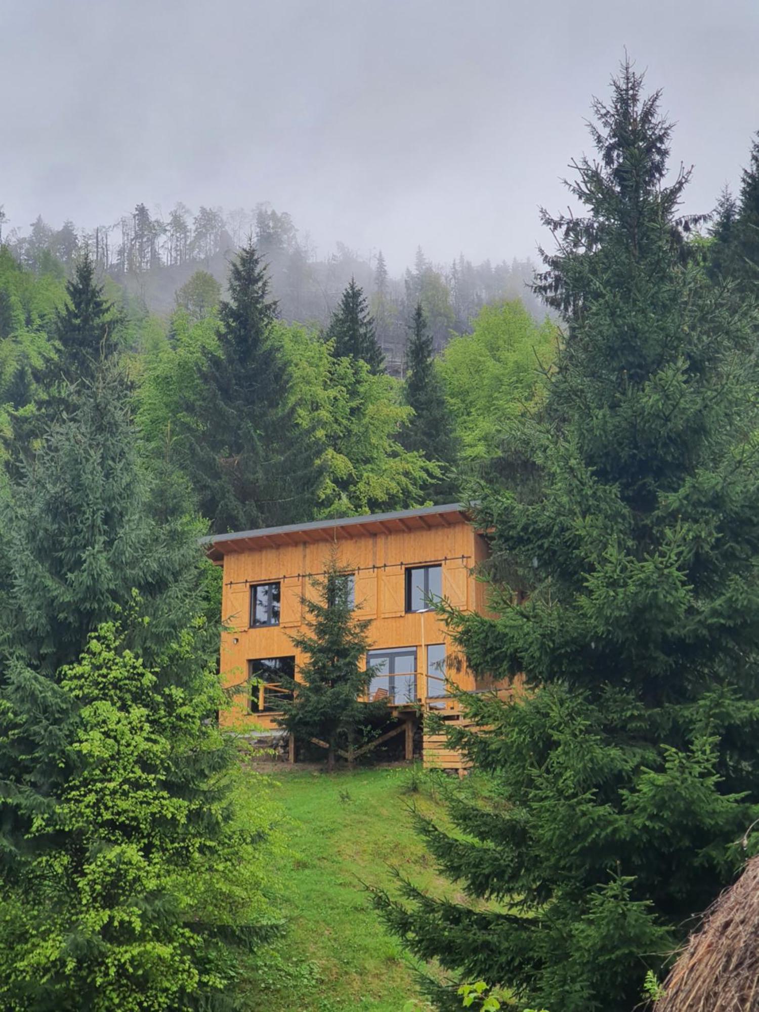 La Hambare Villa Colibiţa Exteriör bild