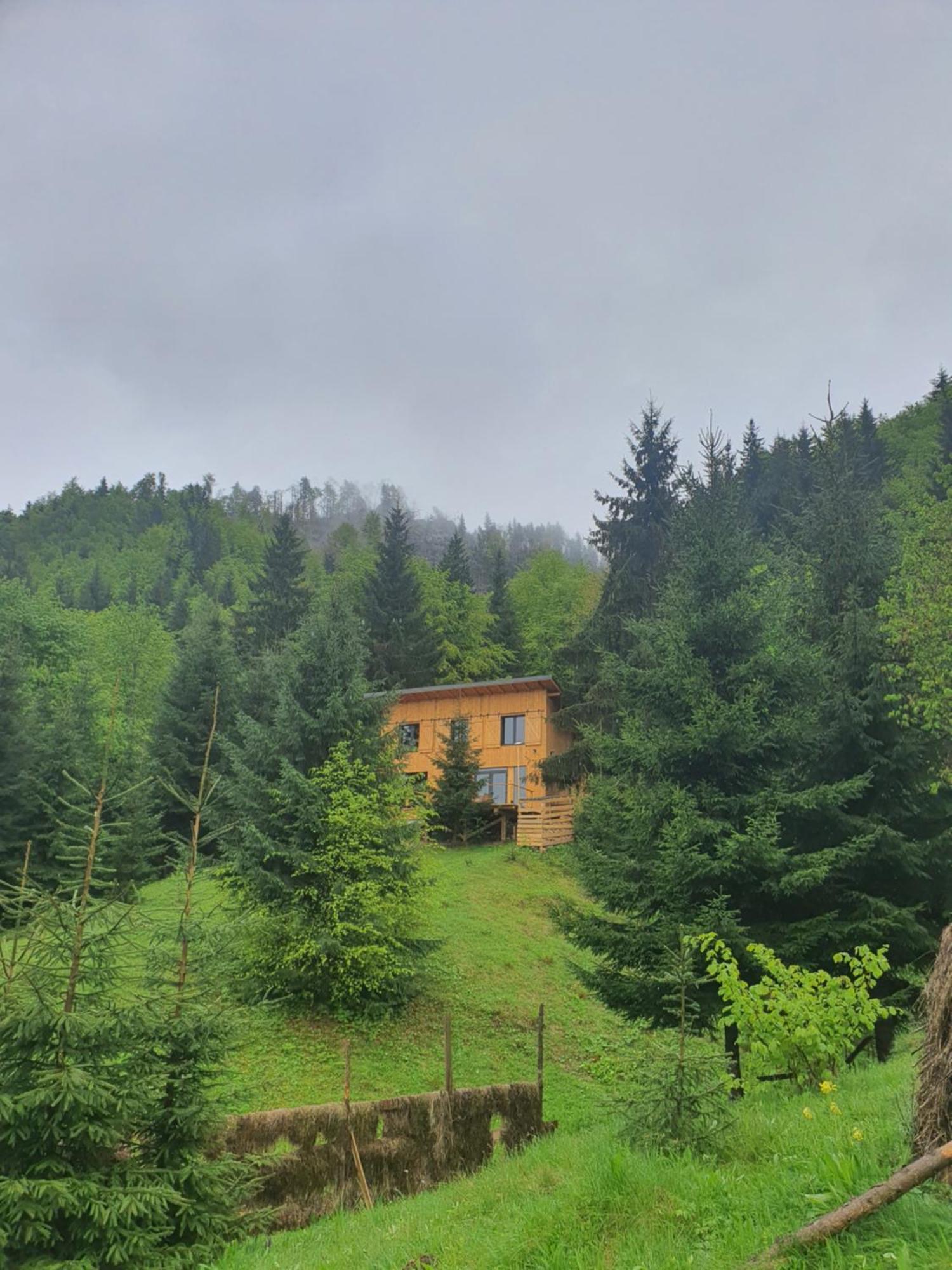 La Hambare Villa Colibiţa Exteriör bild